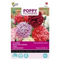 Pavot Fleur de Pivoine - Buzzy Poppy Flowers